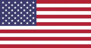 american flag-Rochester